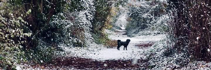 Kim Grimmer RN QN 💙 banner