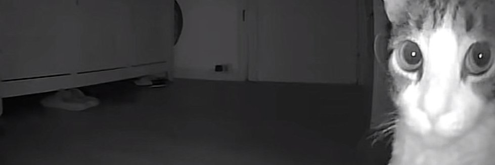 Soda banner