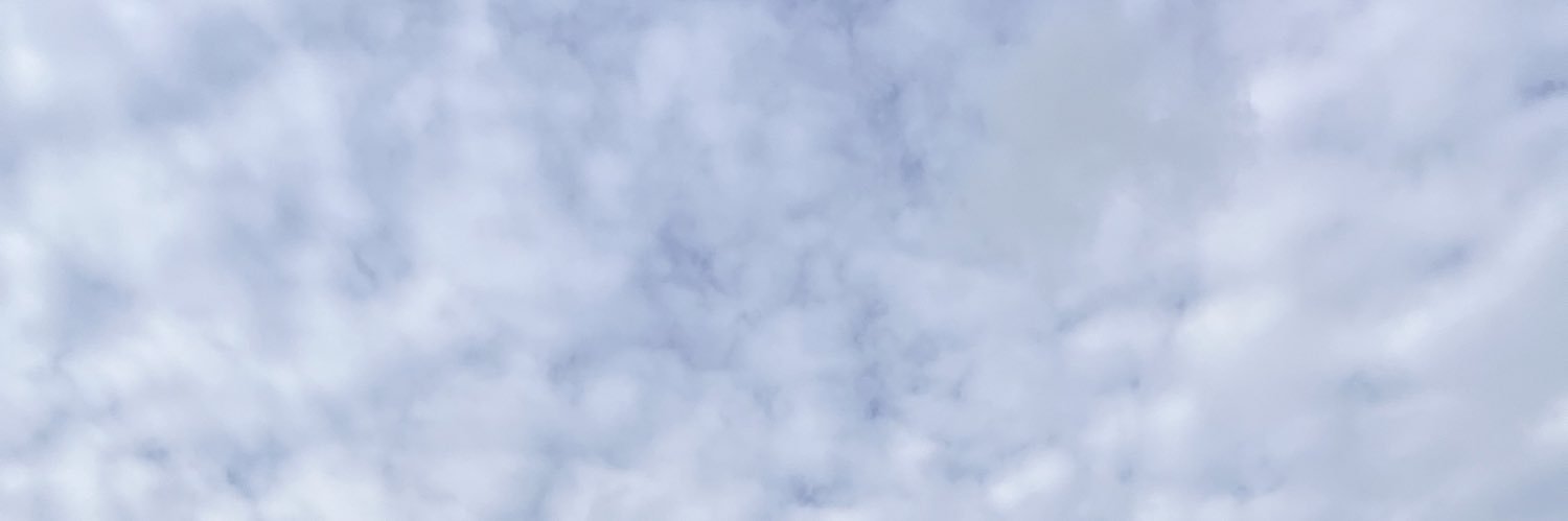 sashya🥦 banner