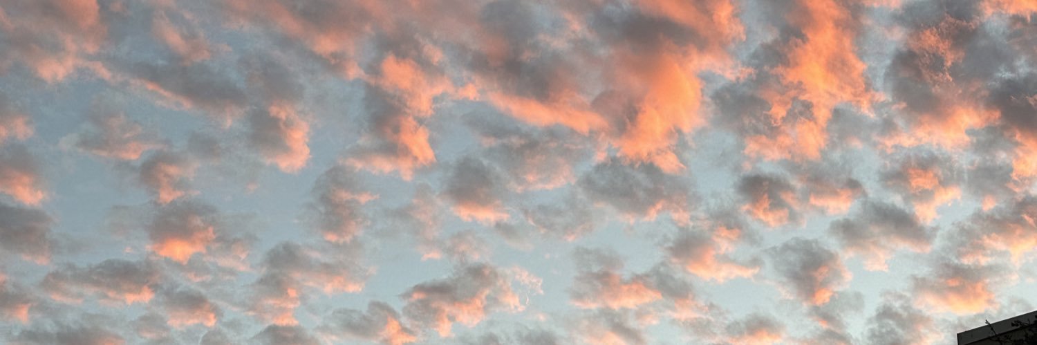 nikkicrackcorn's profile banner image