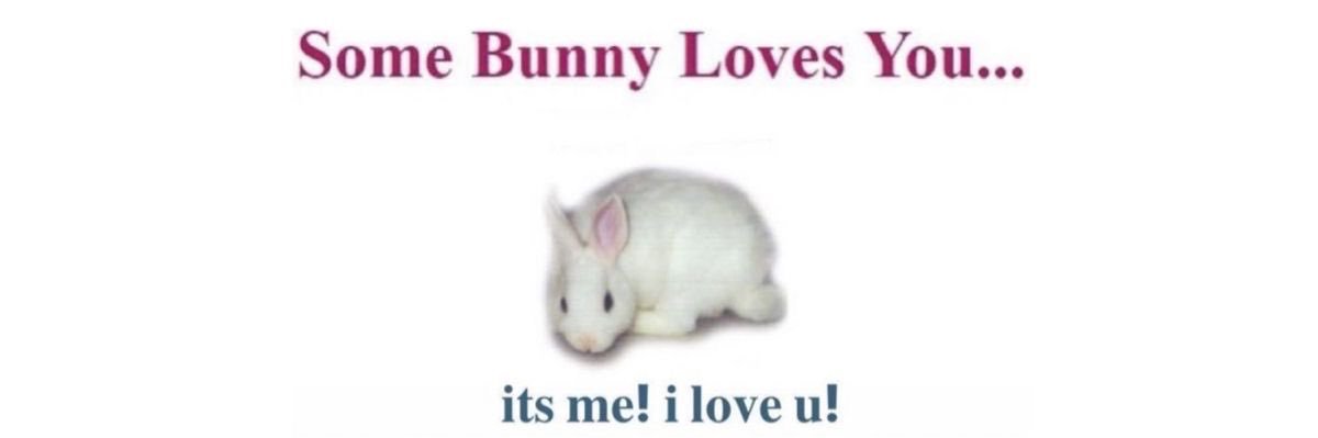batbunny0's profile banner image
