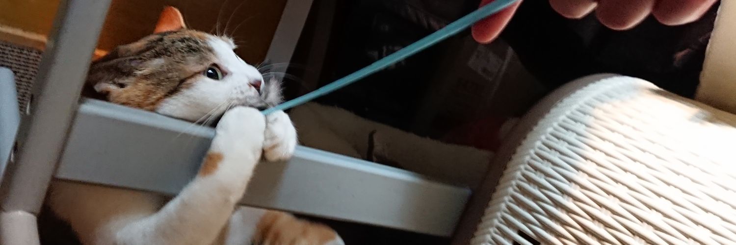 魁戸一鈩(｢･ω･)｢ｷﾞｬｳ🟣かいといちろ banner