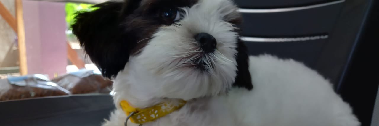 usefulltresh's profile banner image