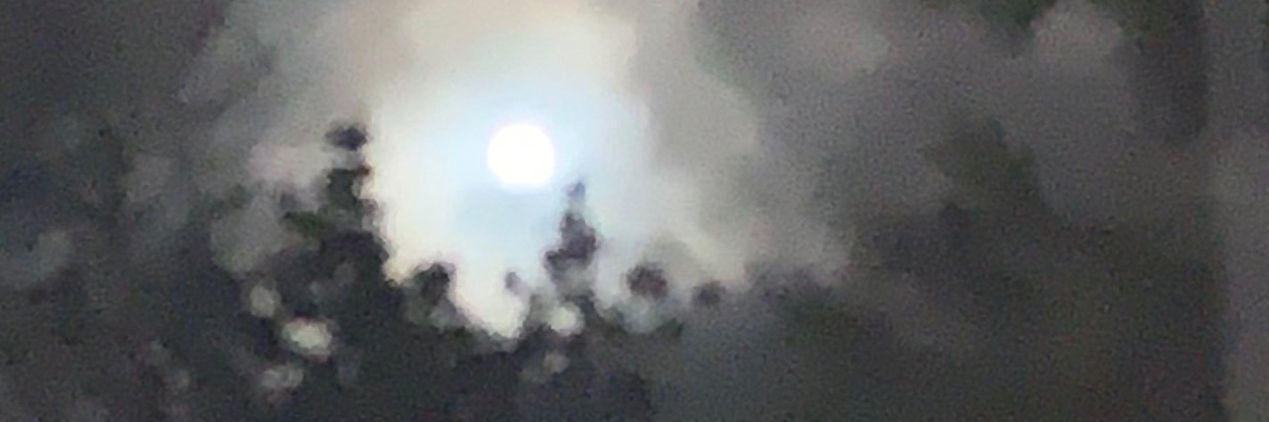 KenStruss33's profile banner image
