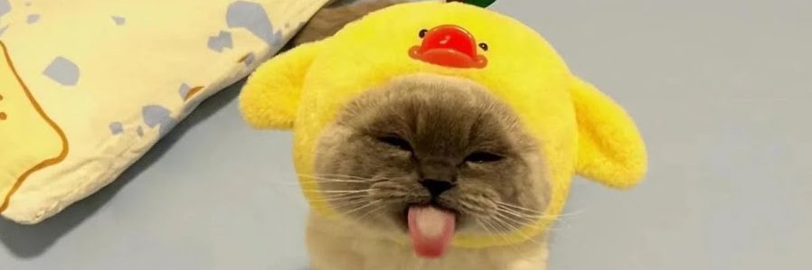 brookiecookiezz's profile banner image