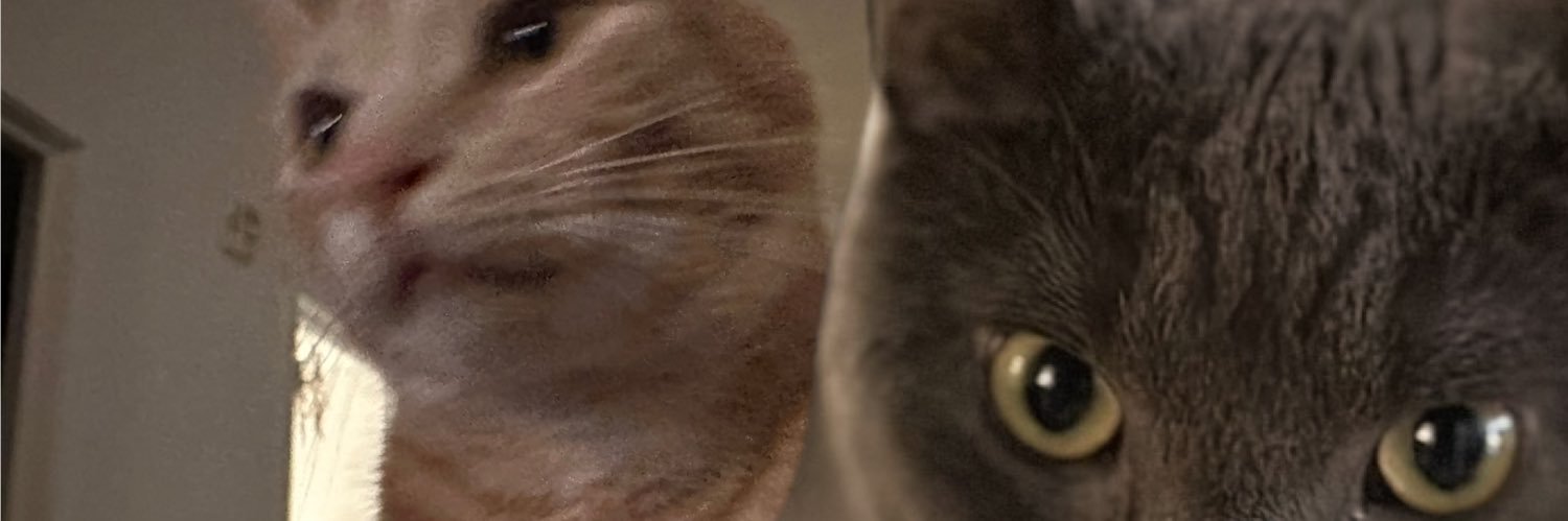 roguenoodle's profile banner image