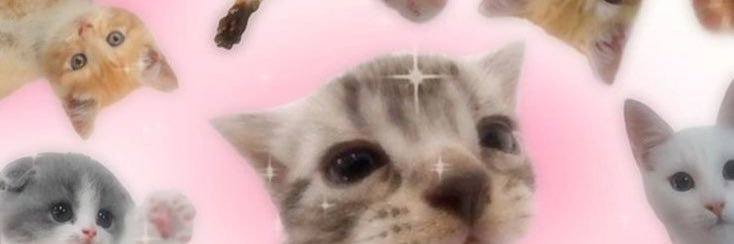 k.lexa💗 banner