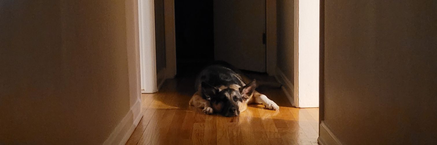 Alex Heideman banner