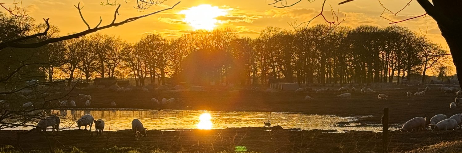 rickhick's profile banner image