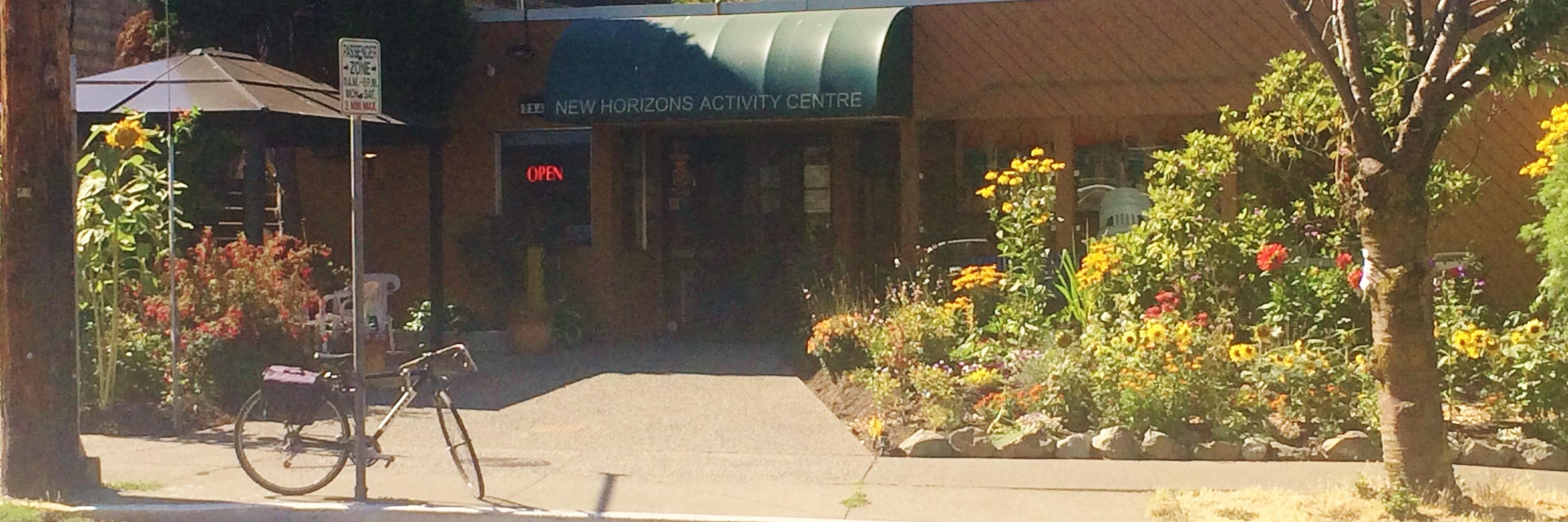 New Horizons banner