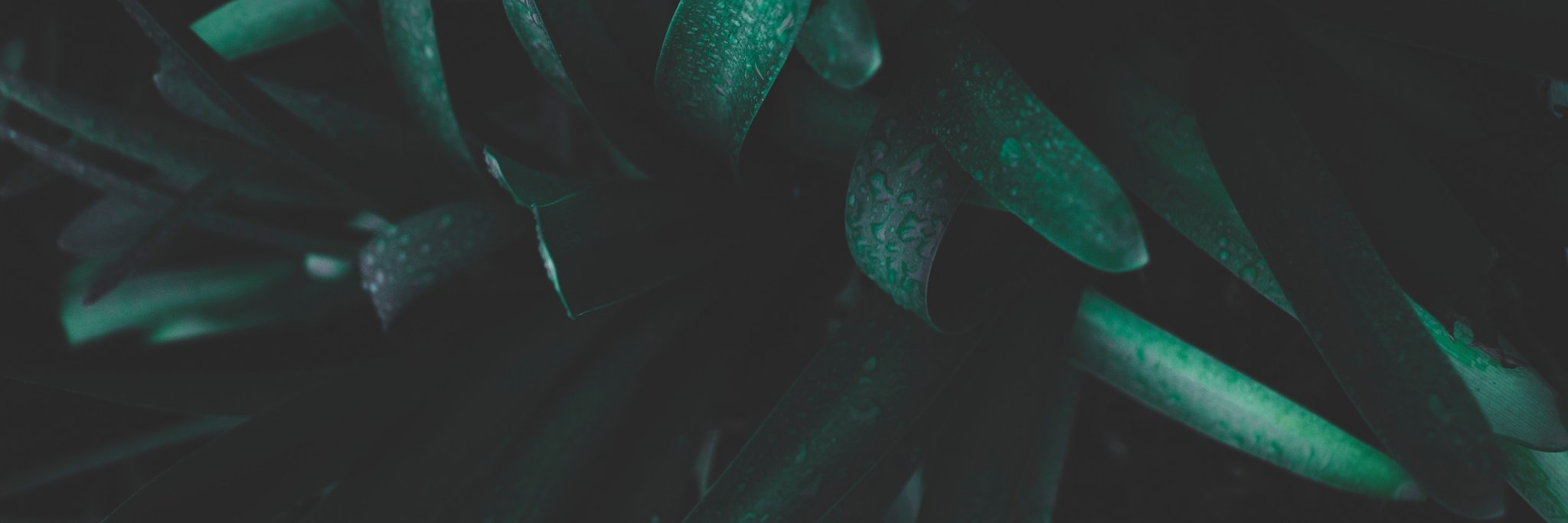 AndreaRivera01's profile banner image