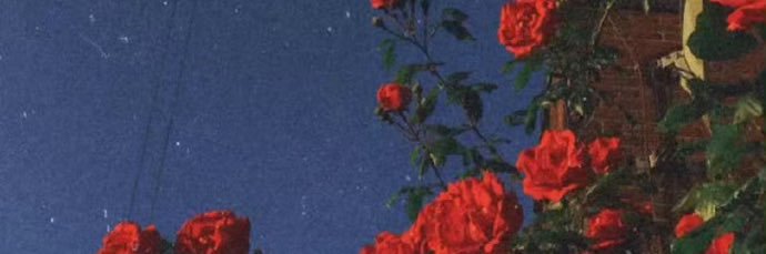 Dodo9331's profile banner image
