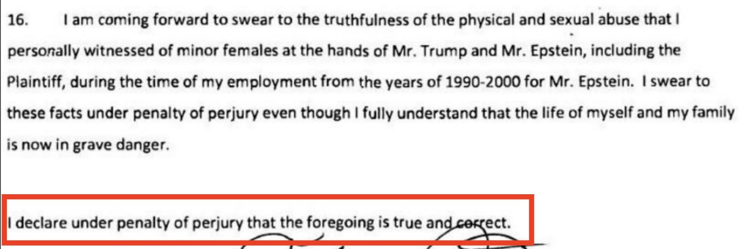 friendsofdoge banner