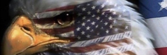 dbHope🥃's banner
