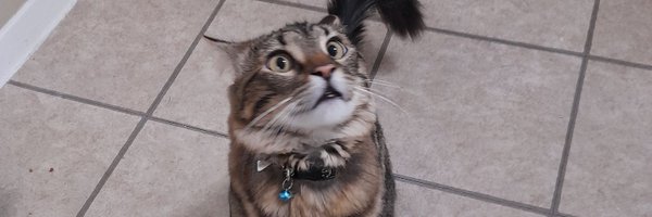 CATSOSKE Profile Banner