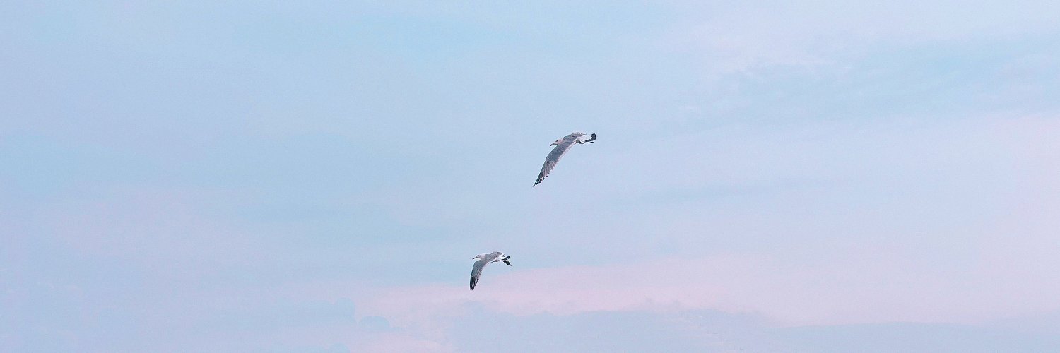 屋上プール banner