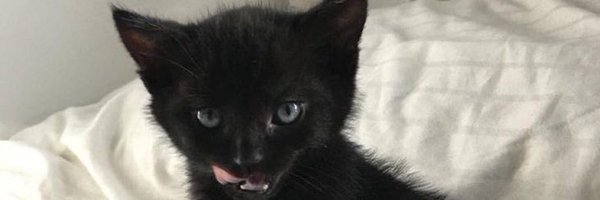 useerralb Profile Banner