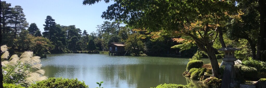 terai's profile banner image