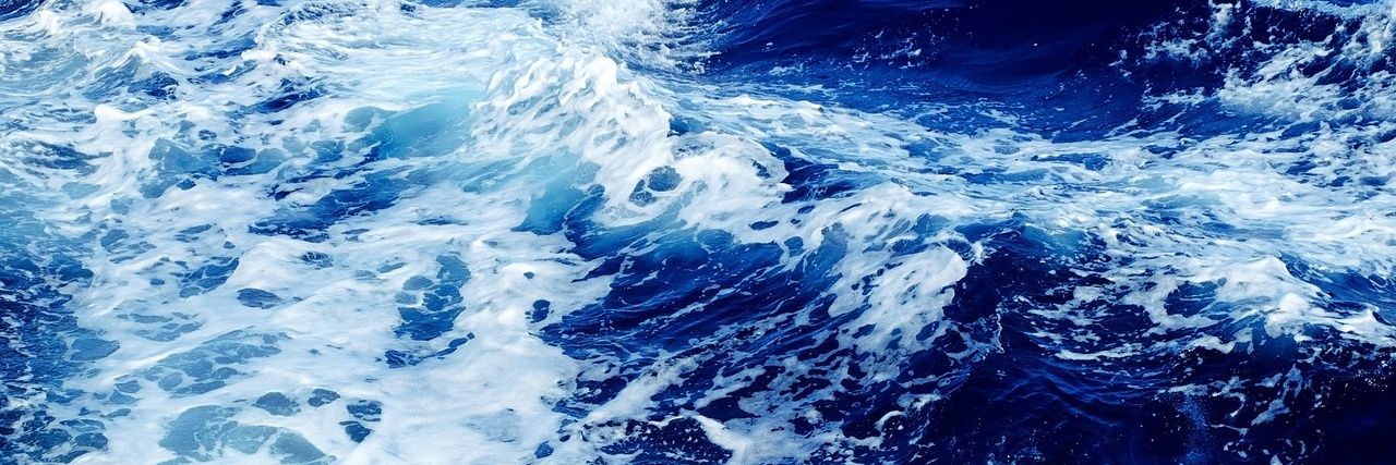 Whales_Star's profile banner image