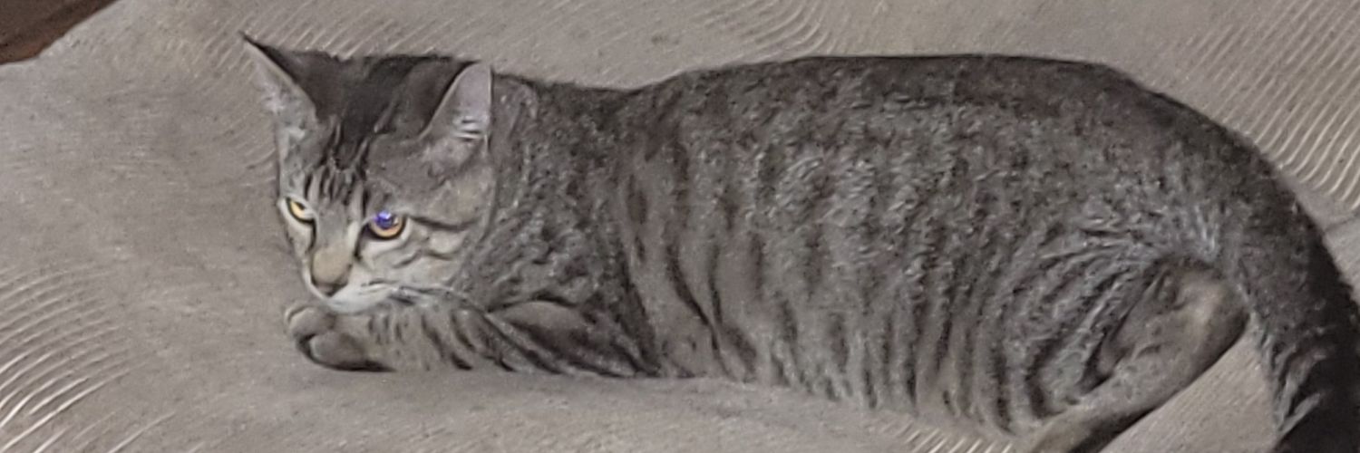 imnot_enoughh's profile banner image