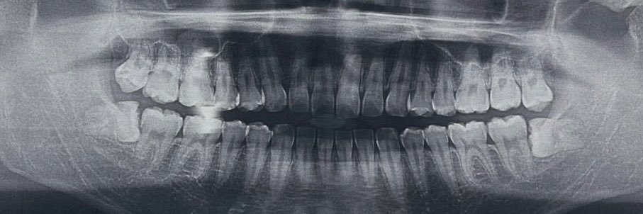 bulllldozer3's profile banner image