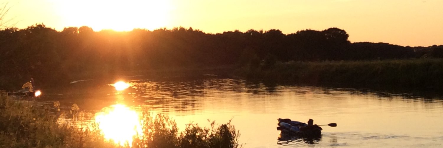 Matthew Gough banner