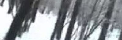 noahvolkovv's profile banner image