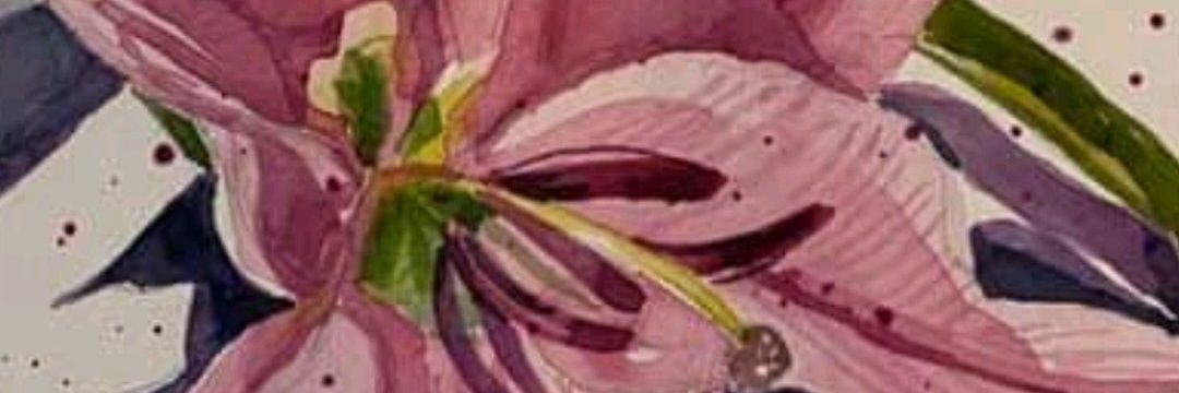 anjuthomas19's profile banner image