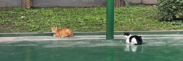 VeZ729 Profile Banner