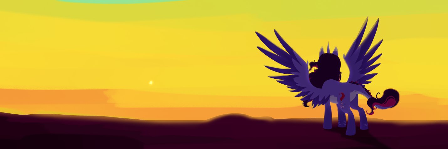 ShamySol's profile banner image
