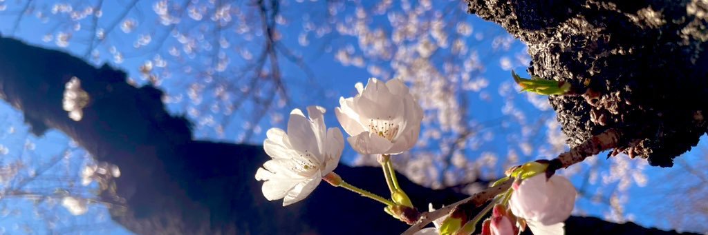 アトカ_交換用 banner