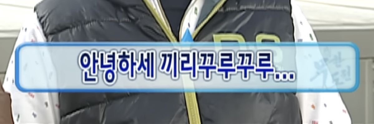 비빔이 banner