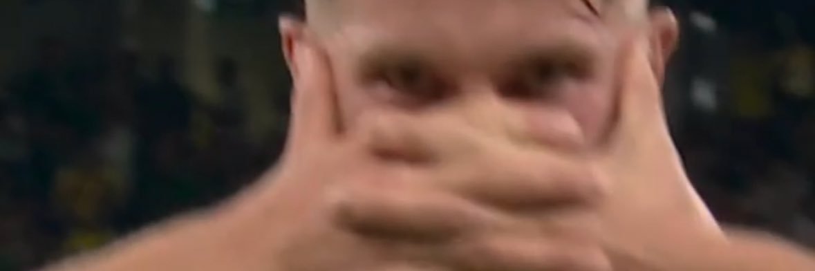 ninjinR_gori18's profile banner image