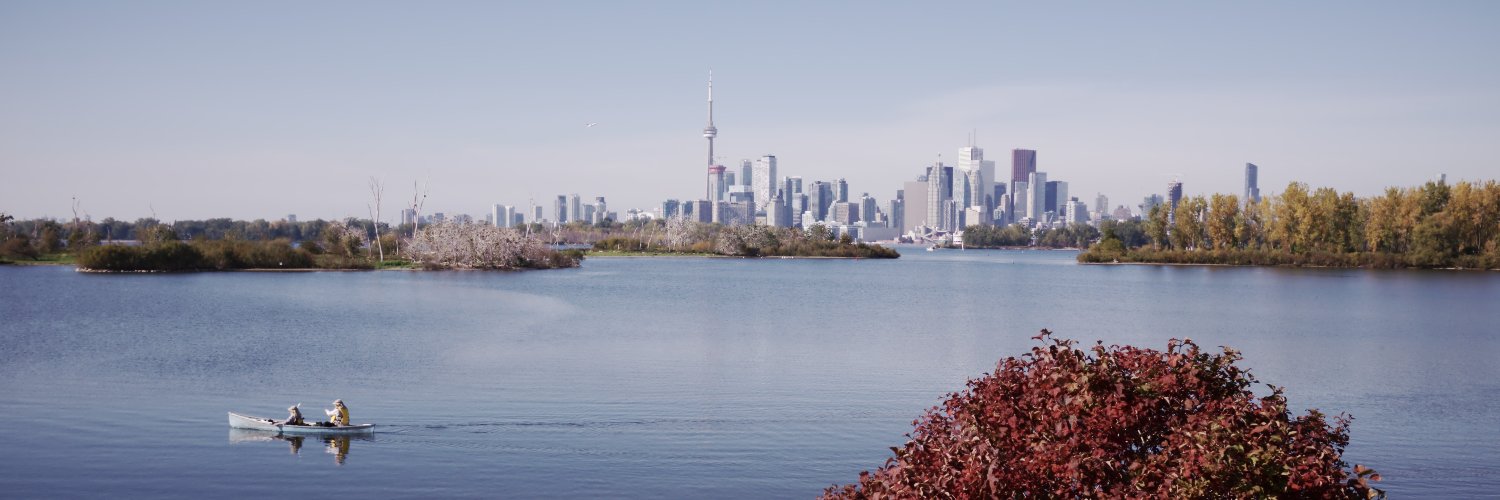 Karen Chapple banner