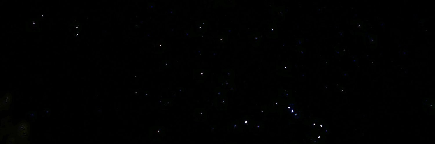 Trixie banner