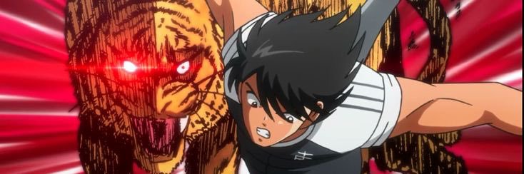 Tsuna banner