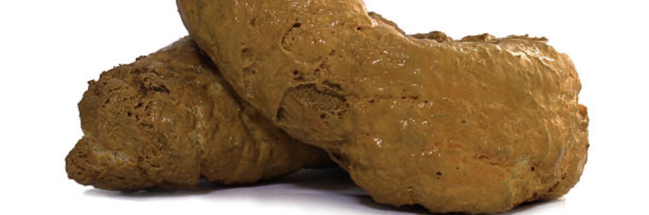 Dog Shit banner