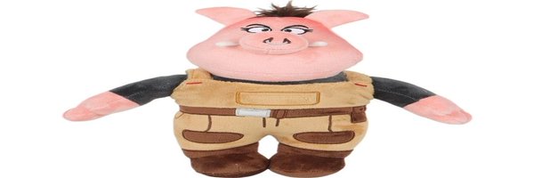 DailyPigtail Profile Banner