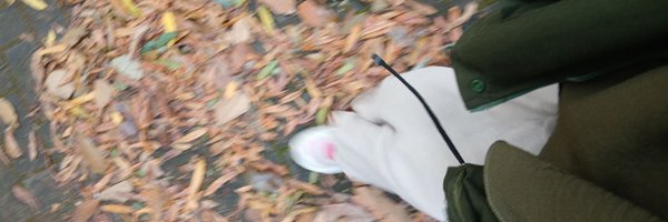 AlsaMawFK Profile Banner