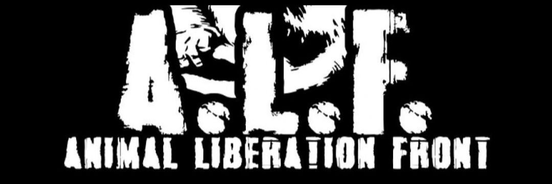 zero_x_finarle's profile banner image