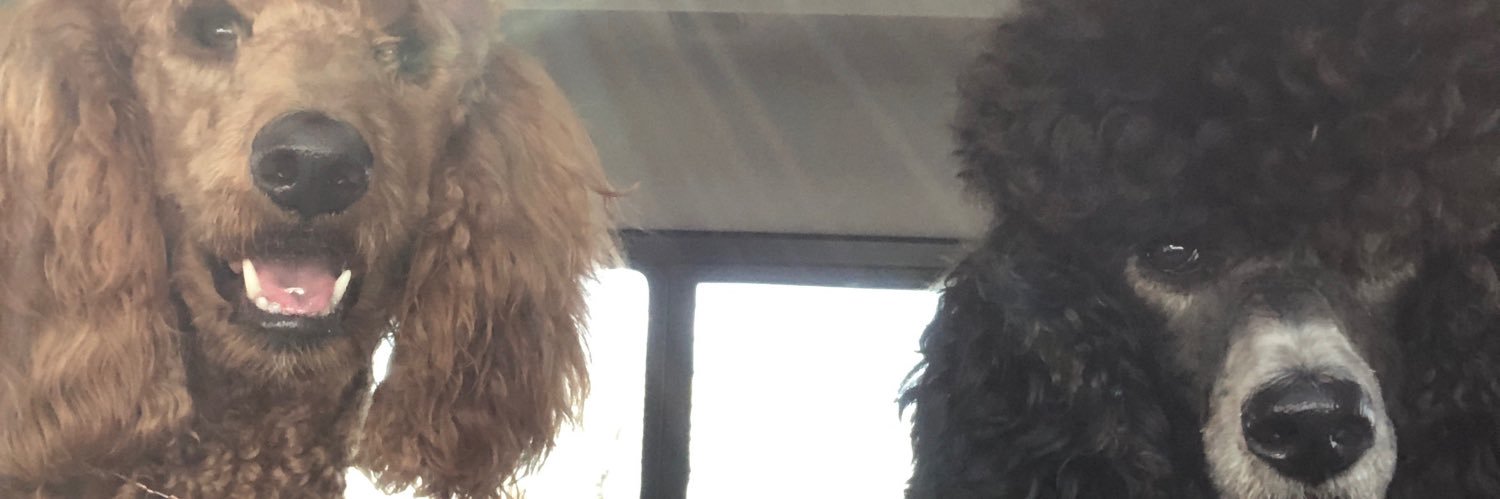 Razorbacklifer's profile banner image