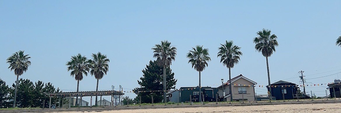 R I N a ¨̮ * banner