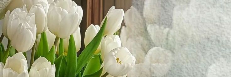 msrt68281's profile banner image
