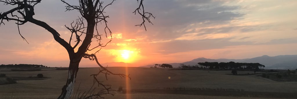 FrancescTarres's profile banner image