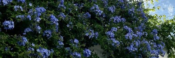 tbrk_77's profile banner image