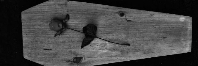 Von Vamprayer banner