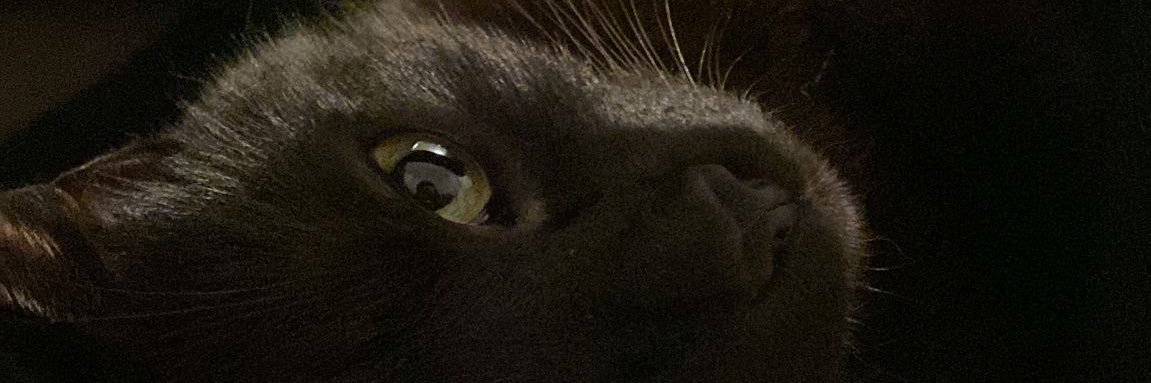 mch_chloe's profile banner image
