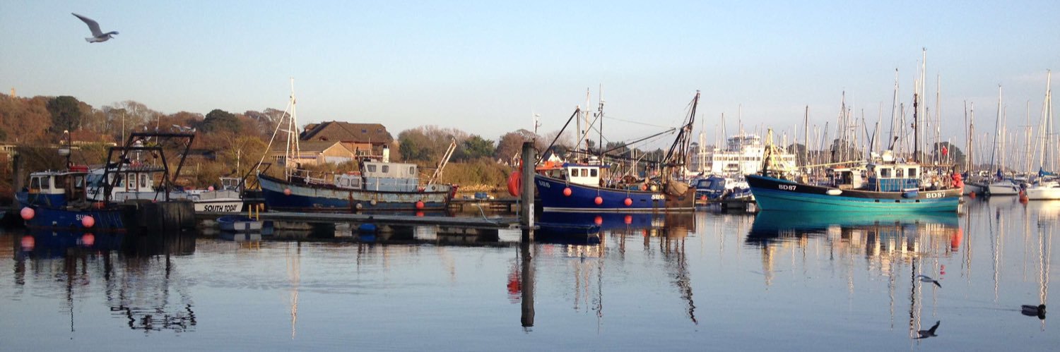 Janet 🦋 Bluesky: @jbecole banner