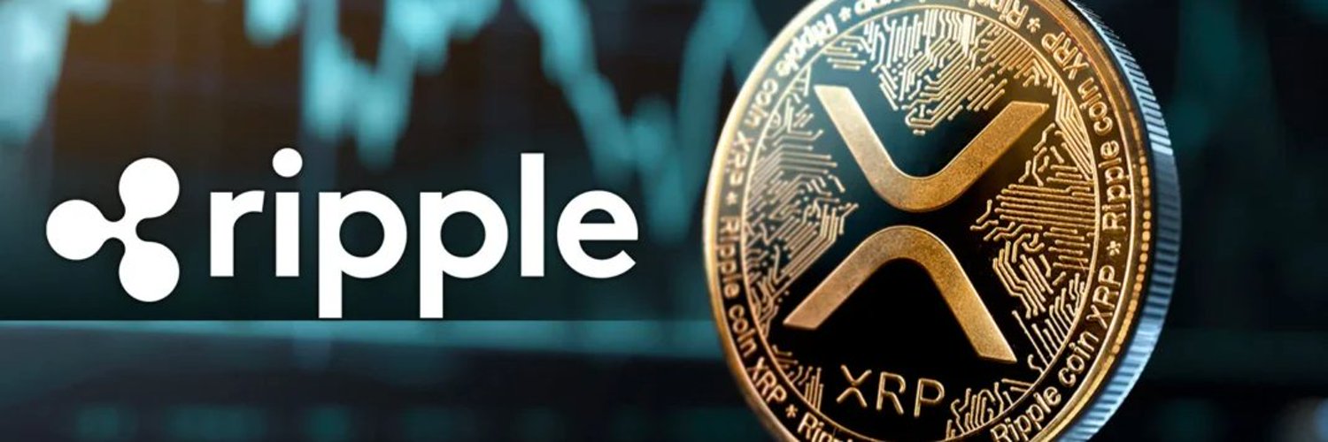 "Funbro" Rob Moyer banner