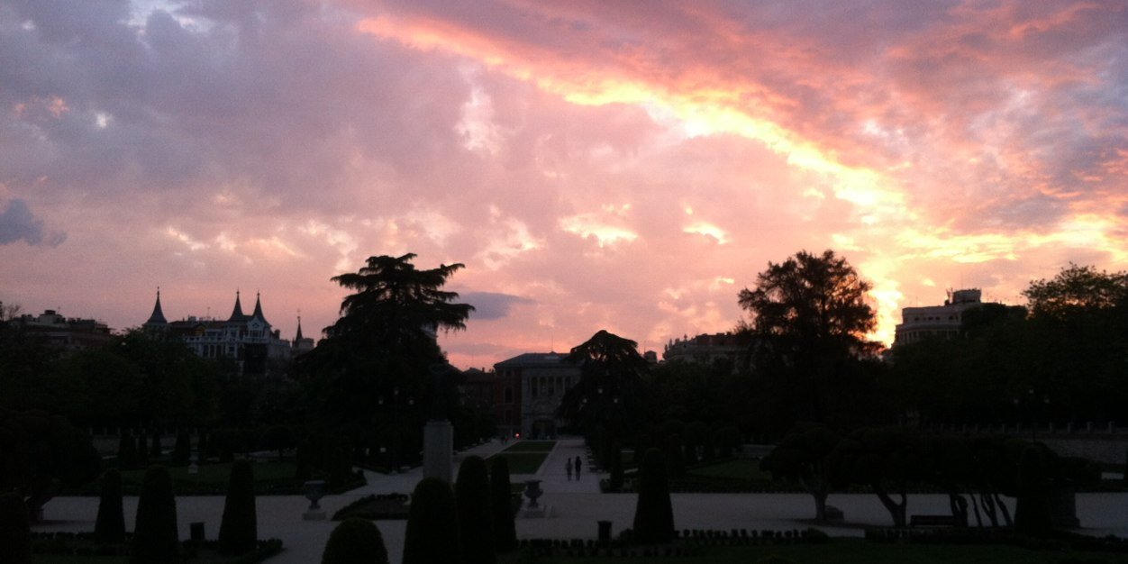 Davis Woodworth banner